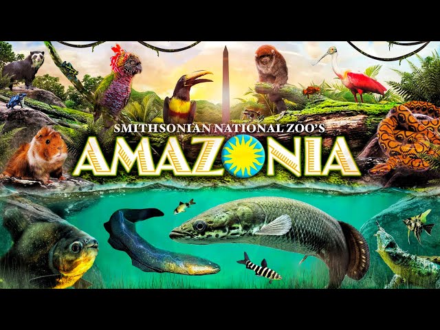 Zoo Tours: Amazonia | Smithsonian National Zoo