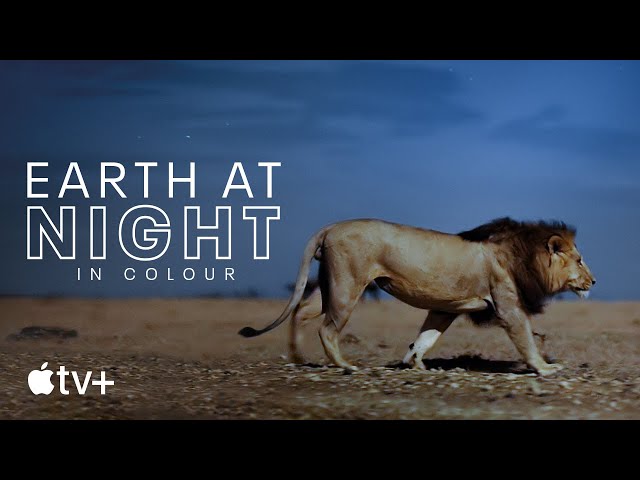Earth At Night In Colour — Official Trailer | Apple TV+