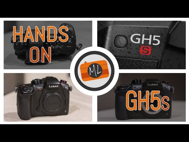 Panasonic Lumix GH5S - First Impressions Review