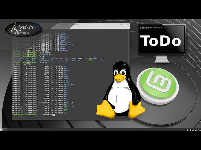 ToDo nach der Installation Teil 1 - Linux Mint 20 Tutorial