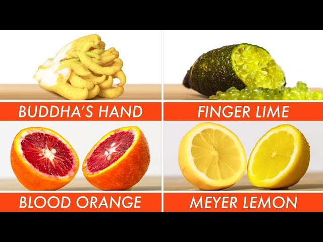 Trying Every Type Of Citrus | The Big Guide | Epicurious