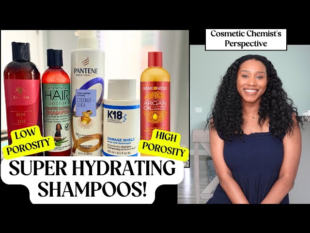 The BEST Shampoos For Dry Natural Hair! [For Both Low & High Porosity!!]
