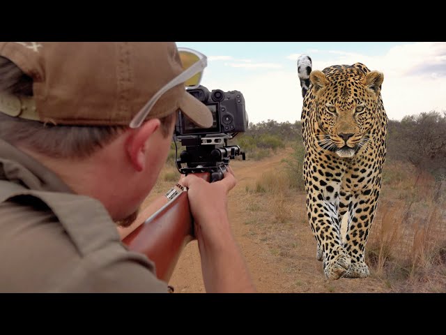 Photo Hunting Leopard | The Big 5 Photo Hunting Series - EP 06