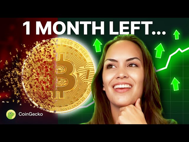 What to Expect From BITCOIN HALVING!! Where Will The Price Go??