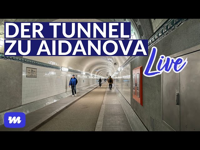 Durch den alten Elbtunnel zu AIDAnova - Live-Spaziergang in Hamburg