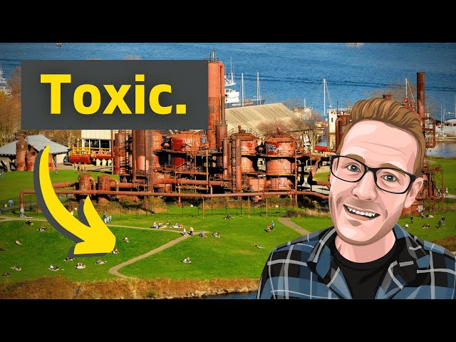 The Toxic Chemical Plant That’s Now a Picnic Site
