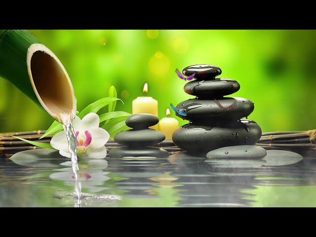 Relaxing Music for Stress Relief with Bird Sound, Relaxing Piano, Bamboo Water Fountain, Spa,  BGM