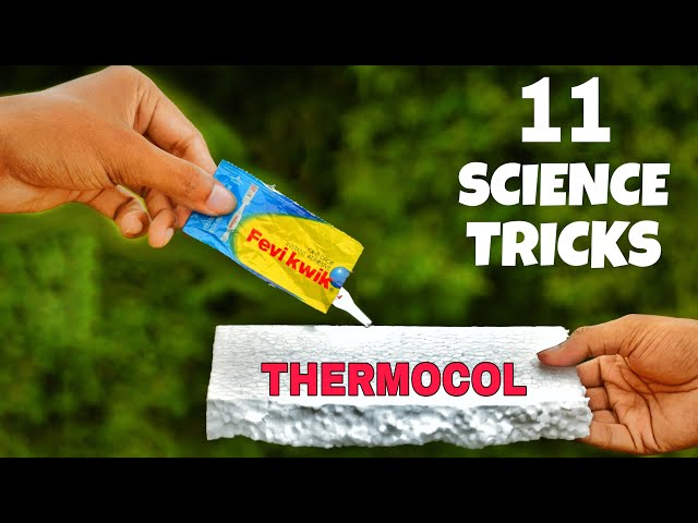 11 Simple Science Experiments To Do At Home