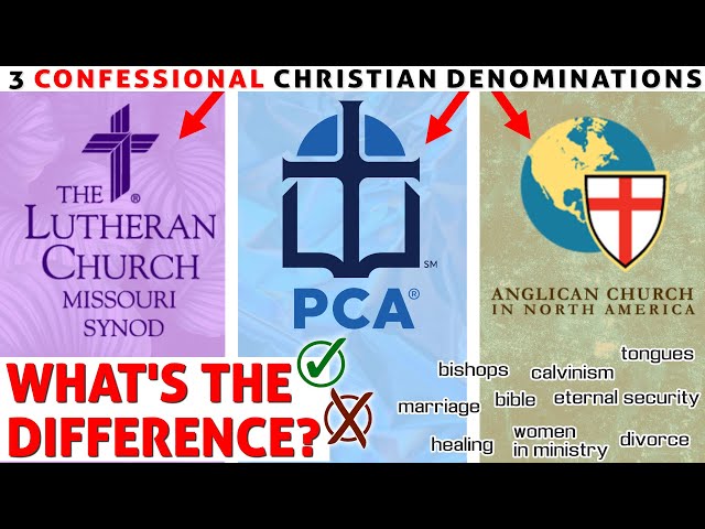 LCMS vs PCA vs ACNA (What's the Difference?)