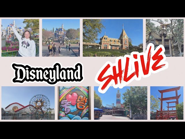 🔴 [#LIVE - En Vivo] Disney California Adventure ShLIVE