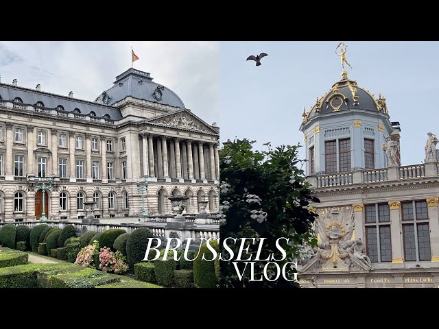 Brussels vlog | Visiting Belgium for the first time: Grand Place, Royal Palace, waffles...