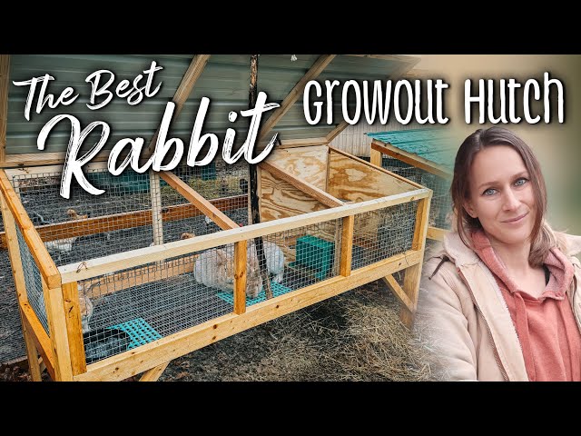 The Best Rabbit Growout Hutch - BUILD PLANS by Teal Stone