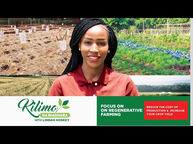 Focus on Regenerative Agriculture | Kilimo na Biashara