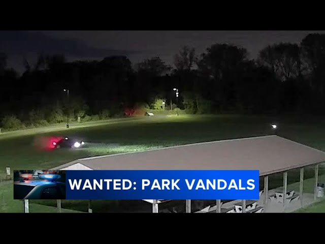 Multiple suspects sought after Bucks County park destroyed by reckless driving