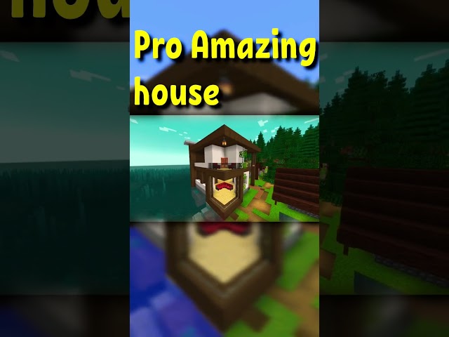 #shorts Do you like this House? #minecraft #noobvspro