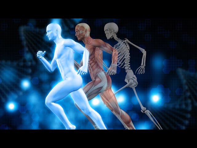 Exploring the Psychological Link: How Healthy Skeletal Muscles Combat Obesity