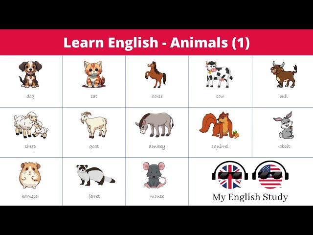 Learn English Vocabulary #41 | Animal Names in English | 🦁🐘🦒
