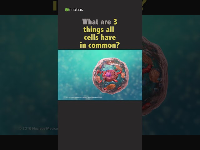1 Minute Biology Quiz - 3 Things Cells Have in Common #shorts