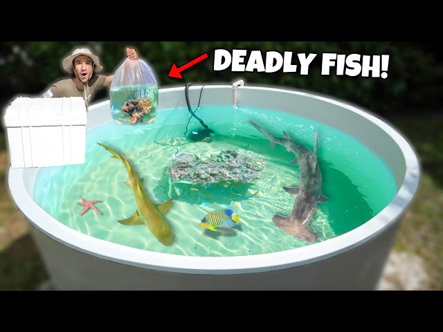 I Bought a DEADLY Fish For My SALTWATER POND!!