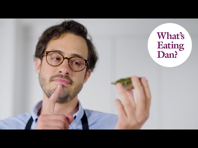 How to Pair and Garnish Your Oysters | What’s Eating Dan