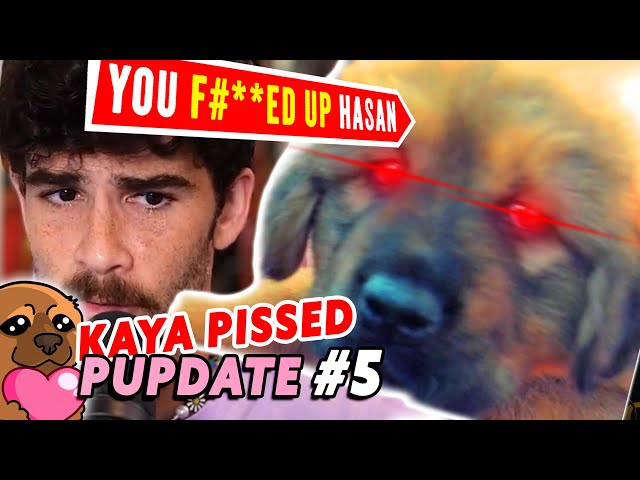 PUPDATE #5 | KAYA UPSET WITH HASAN! The first REAL FIGHT...