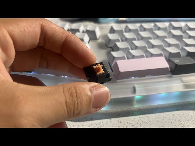 I created my Endgame Tactile Switch | T1 Holy Panda Switch Soundtest