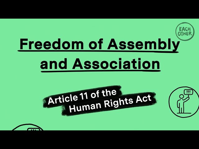 The right to freedom of assembly explained in 2 minutes!