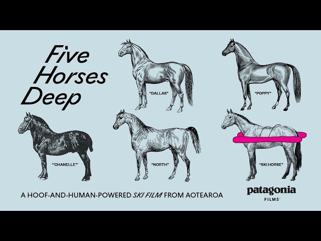 Five Horses Deep: A hoof-and-human-powered ski film from Aotearoa New Zealand | Patagonia Films