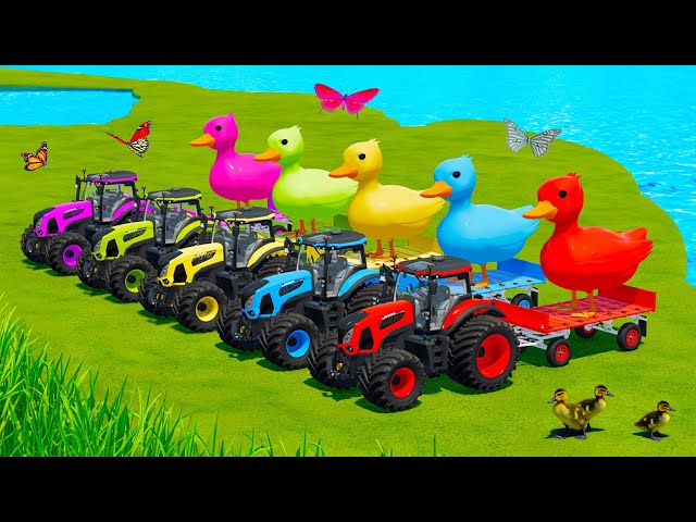 LOAD AND TRANSPORT GIANT DUCKS WITH LANDINI TRACTORS & CASE LOADERS - Farming Simulator 22