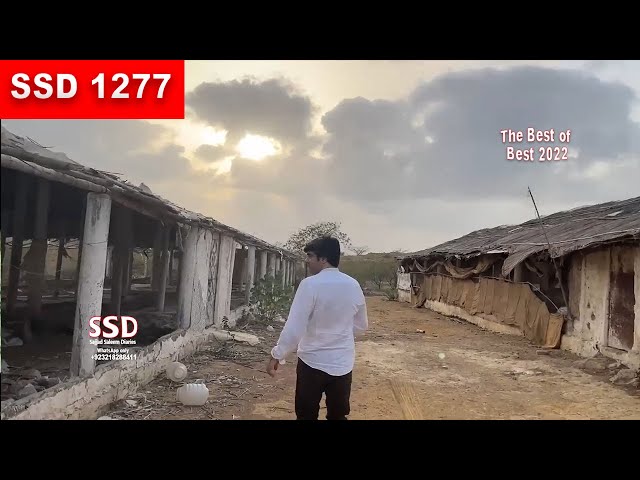 SSD 1277 |  Most haunted location of 2022. (Series) Part 12 |