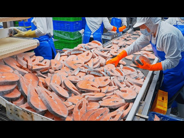 Salmon Cutting Processing Plant, Salmon Miso Soup Making /全台最大鮭魚加工廠, 鮭魚味增湯製作- 台灣海鮮工廠 - Food Factory