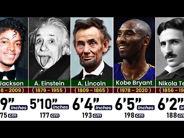 Famous People Height Contrast