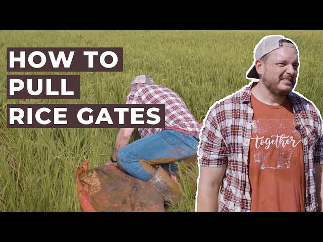 Filthy Farm Jobs | Ep. 1 | Rob vs. Rice Gates