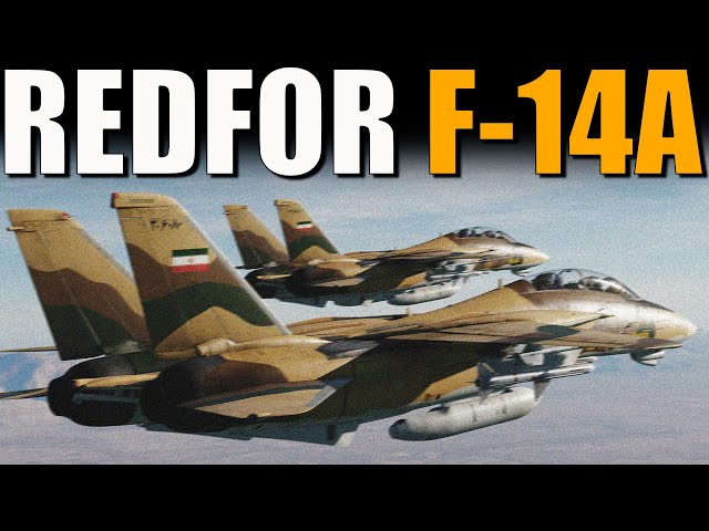 AGGRESSORS The Most Realistic DCS Milsim needs a Bad Guy! | F-14A Tomcat | Digital Combat Simulator