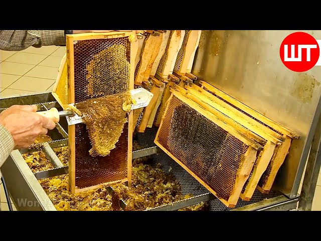 How It's Made Honey | Honey Cultivation and Processing