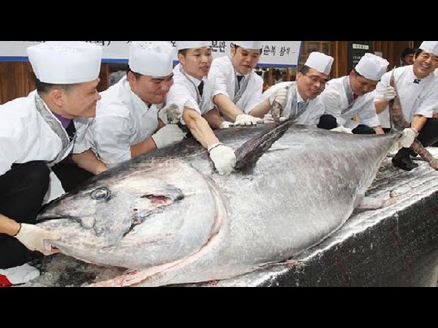Xem quá trình chế biến cá ngừ lớn 60Kg của nhà hàng Poisedon Buffet