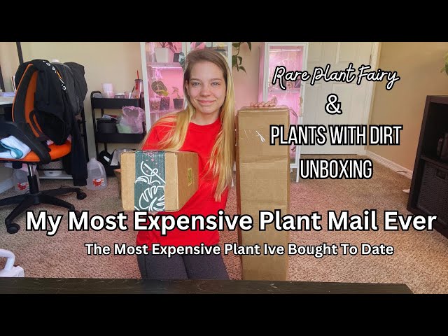 My Most Expensive Plant Mail