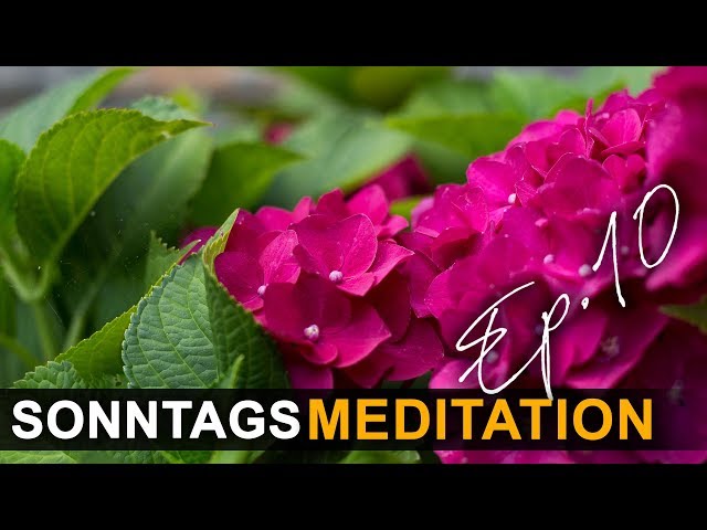 Geführte Meditation - Sonntags Meditation Episode 10