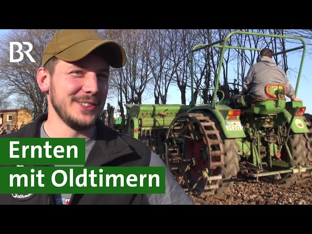 Oldtimer im Einsatz: Braugerste ernten mit historischen Landmaschinen | Unser Land | BR
