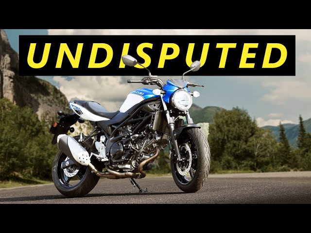 The Suzuki SV650 might be the GOAT of Motorcycles