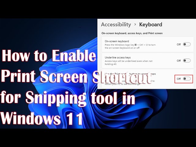 How to Enable Print Screen Shortcut for Snipping tool in Windows 11