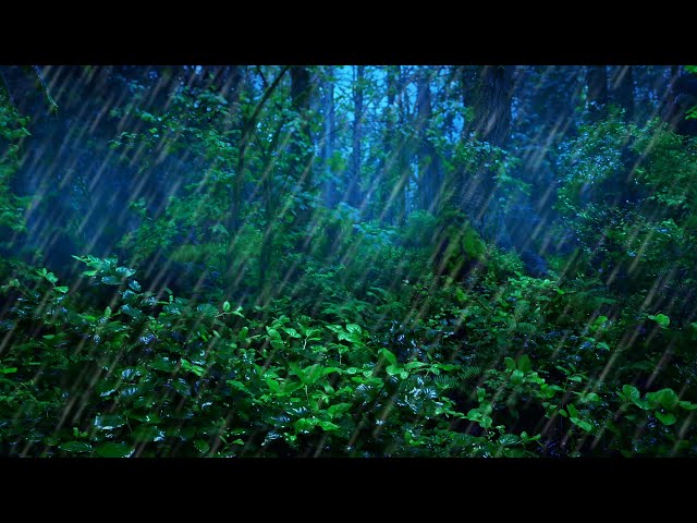 Rainforest Thunderstorm Sounds for Sleep | 10-Hour Rain and Thunder Ambience