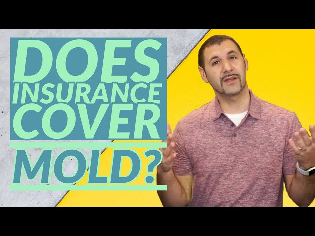 Does Homeowners Insurance Cover Mold? | Home Insurance Mold and Water Backup