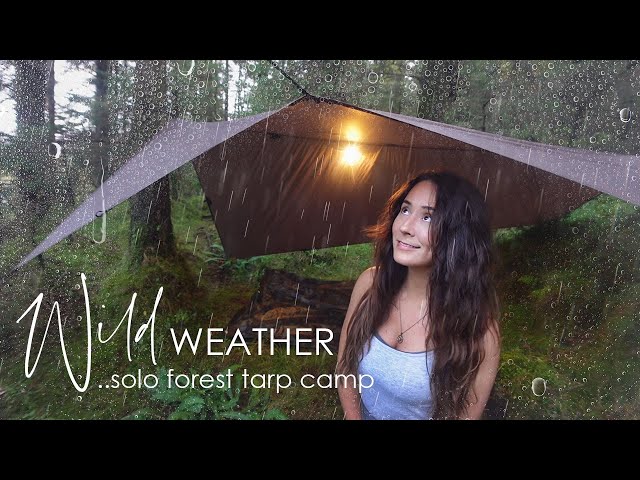 Solo Tarp Camping in Heavy Rain & Hail 🌧️ at a Beautiful Forest Lake in the Mountains