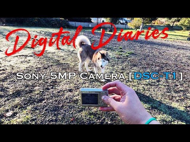 Sony 5MP DigiCam DSC-T1 :Digital Diaries