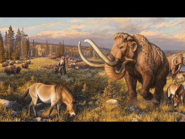 What Was The Earth Like During The Ice Age?