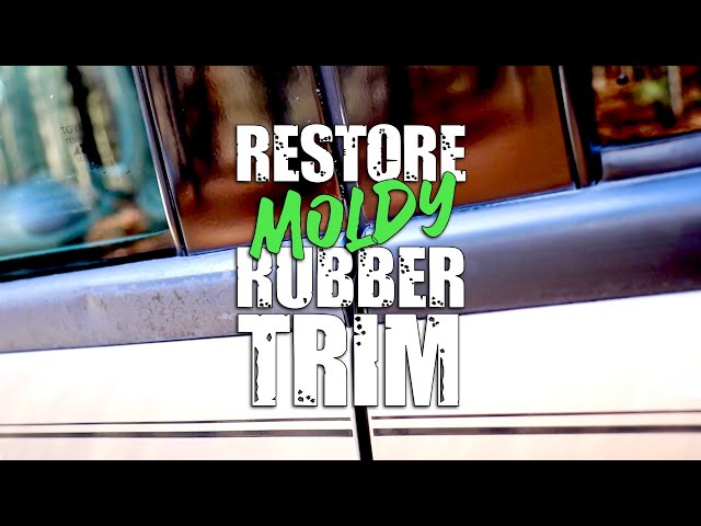 How To Restore and Protect Moldy Rubber Trim! #autodetailing #Detailingtips