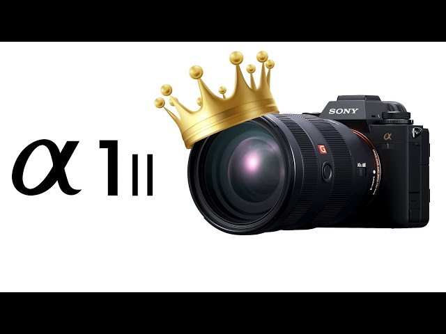 Lets talk about the Sony A1ii..