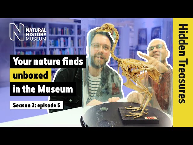 Unboxing your UK nature finds! What is the Angela Marmont Centre? | Hidden Treasures | S2E5