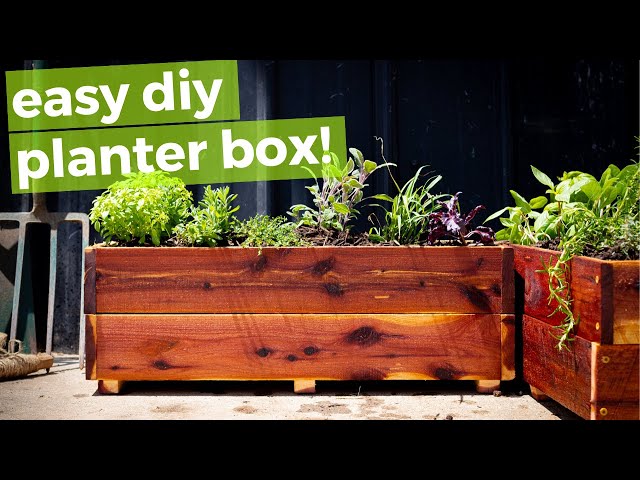 Easy, Inexpensive DIY planter build // Gardening & Woodworking